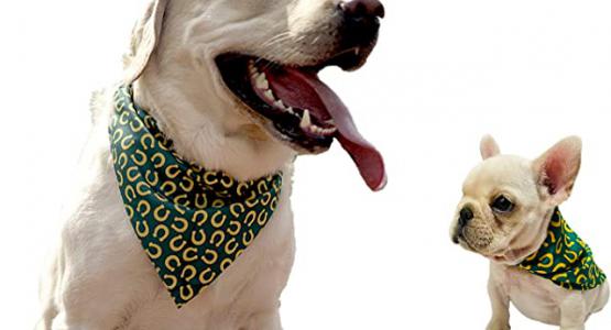 Miglior bandana cane personalizzata