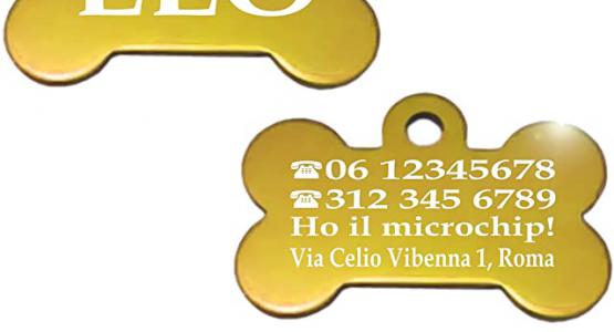 Miglior bandane per cani personalizzate