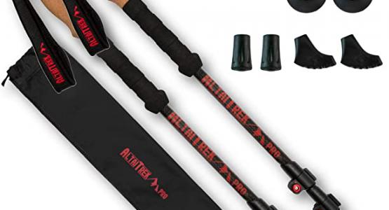 Miglior bastoni sci carbonio