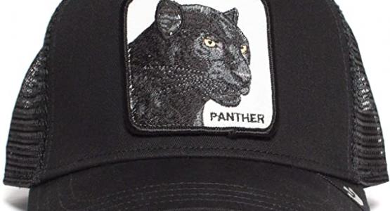 Miglior cappelli goorin bros panther