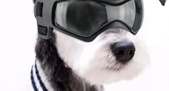 Miglior occhiali per cani