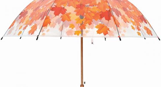 Miglior ombrello con foglie autunno