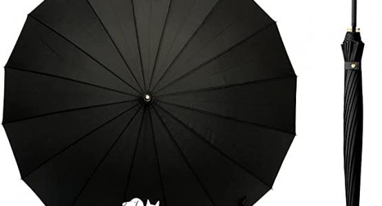 Miglior ombrello per cani