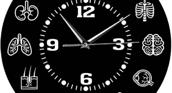 Miglior orologio biologico degli organi