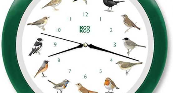 Miglior orologio natura