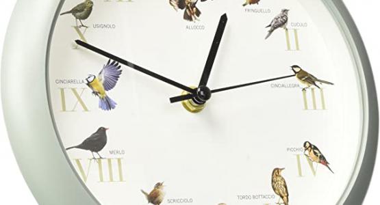 Miglior orologio uccelli citta del sole