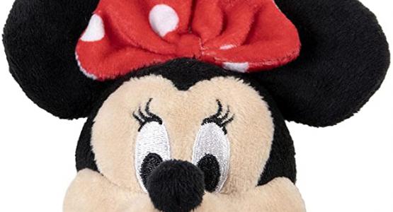 Miglior portachiavi o bag disney