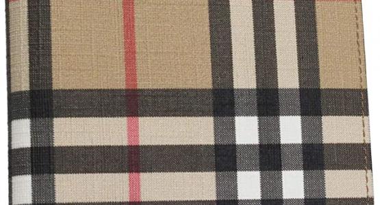 Miglior portafoglio burberry