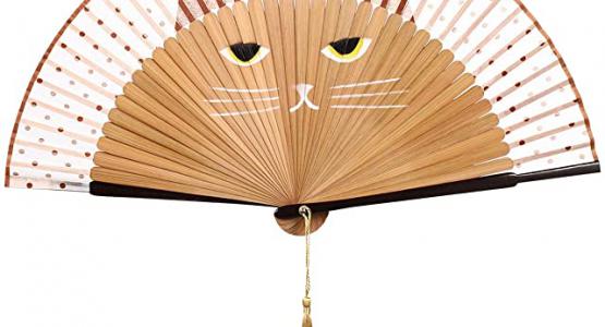 Miglior ventaglio gatto