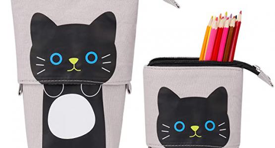 Miglior astuccio scuola gatti