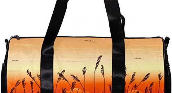 Miglior borsa mare avene