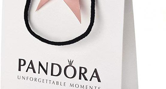 Miglior borsa pandora