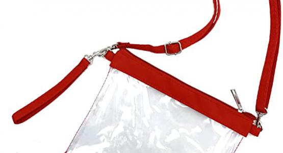 Miglior borsa trasparente piccola