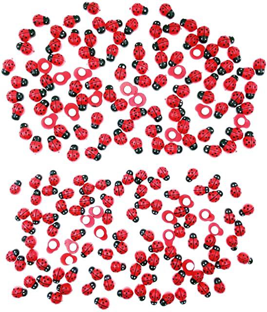 Miglior coccinelle celene tote