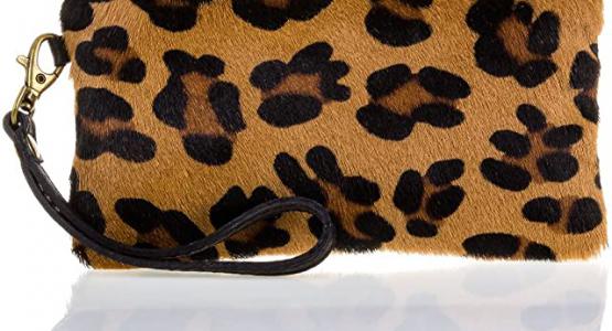 Miglior pochette cavallino