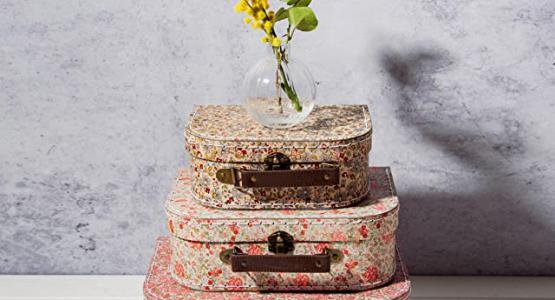 Miglior valigie shabby chic