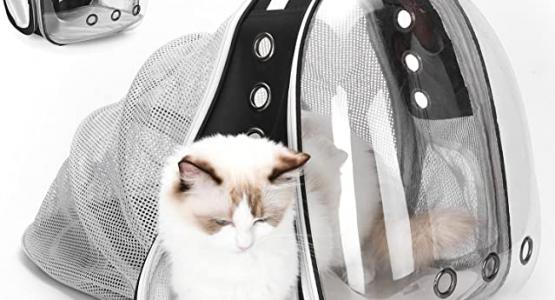 Miglior zainetto per gatti
